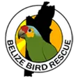 Belize Bird Rescue logo