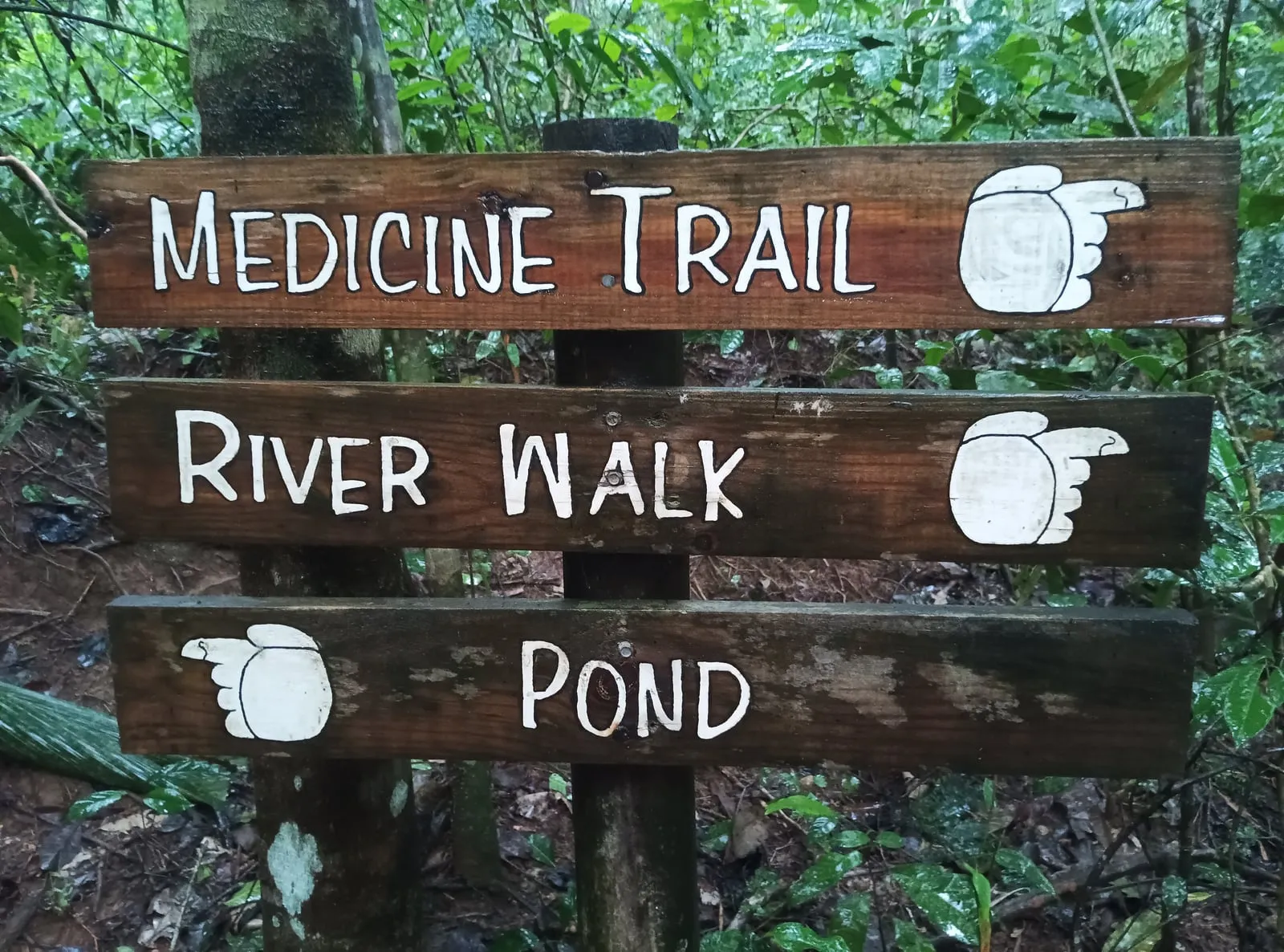 Medicine Trail sign at a medicinal garden in Belize