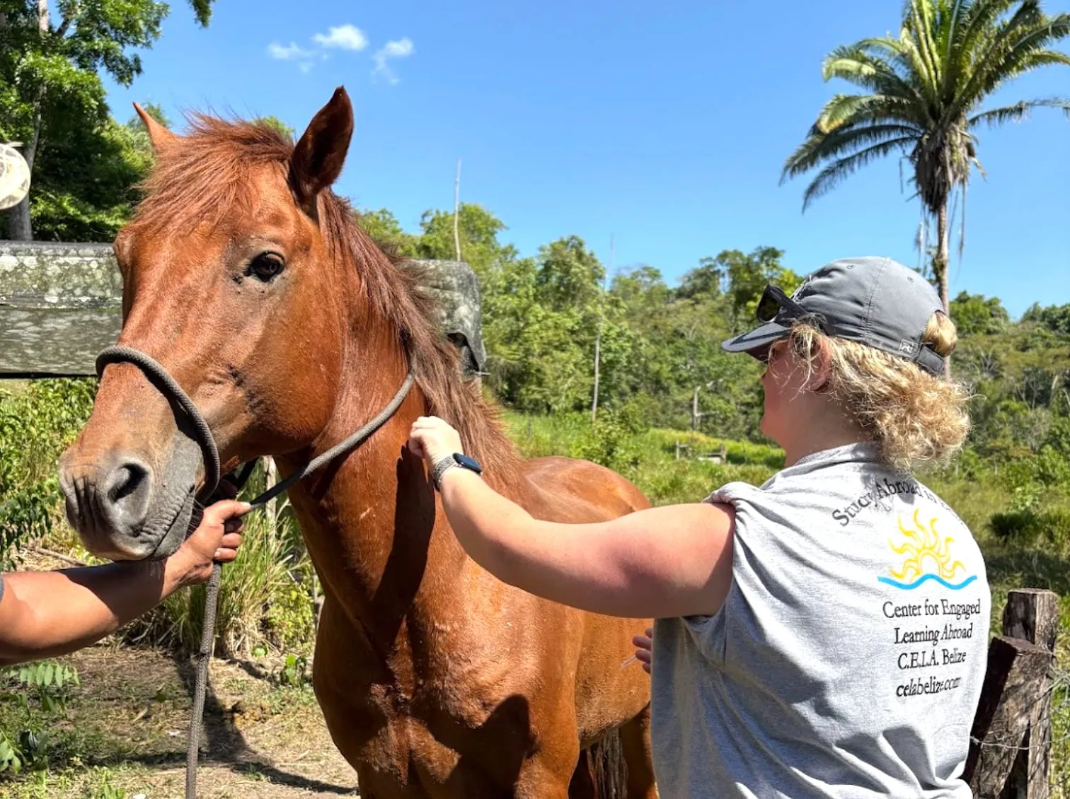 Student with a horse on a farm in Belize