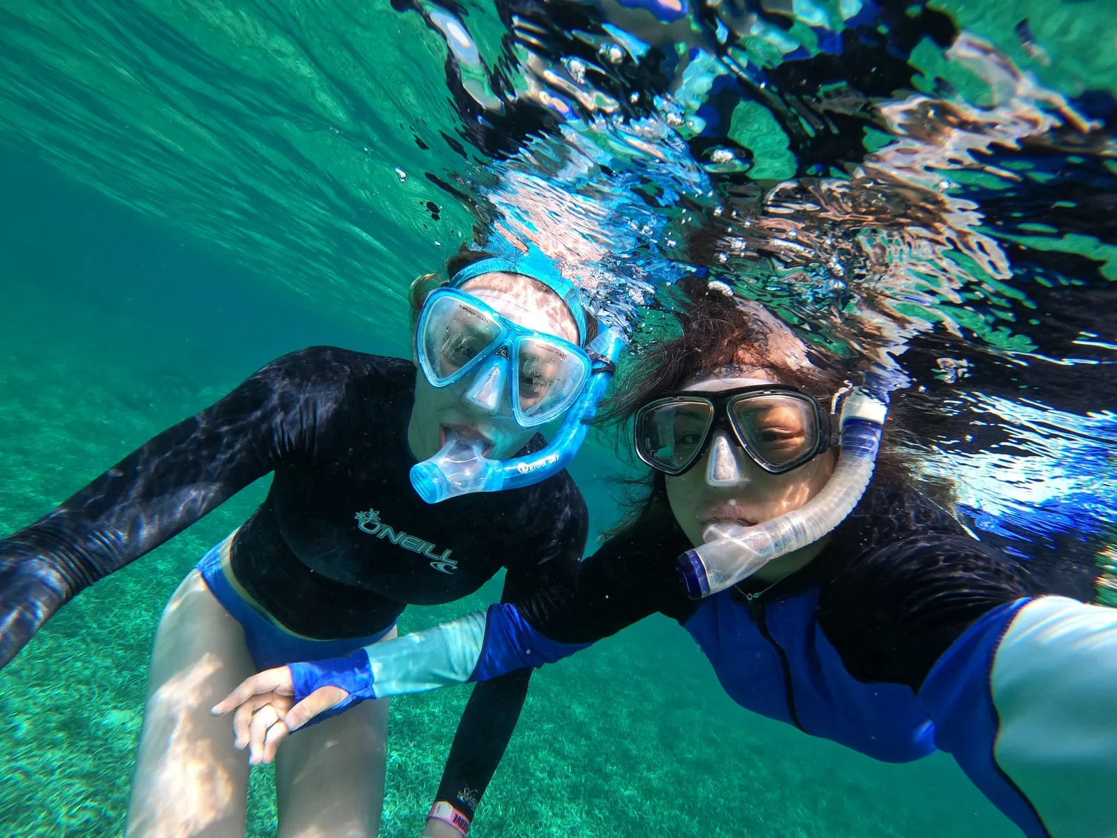Students snorkeling on the reef in Belize
