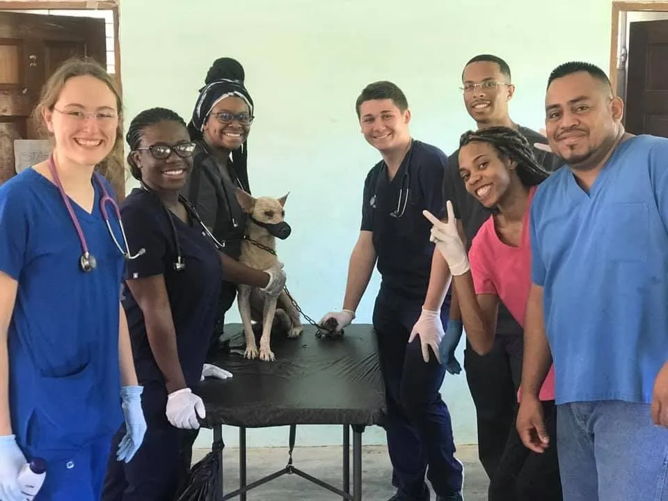Faculty-led group with veterinary staff at a clinic in Belize