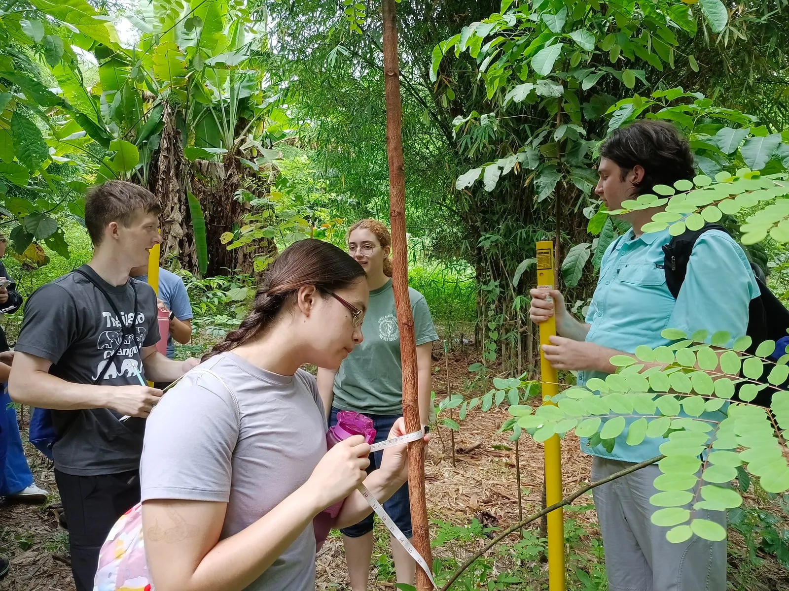 Students doing field research in a Thai forest