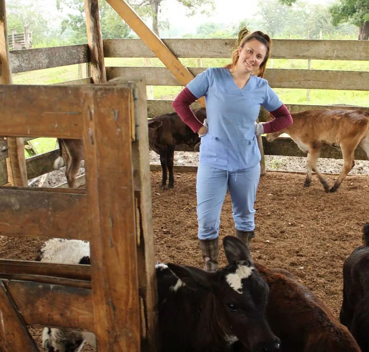 Veterinary student standing in a cattle pen