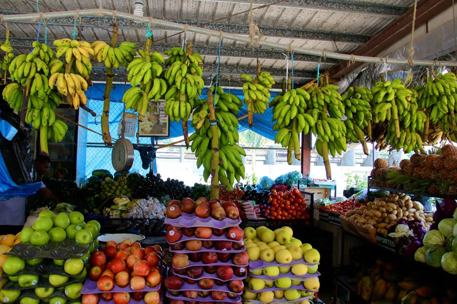 Colorful vegetable stand at the San Ignacio market