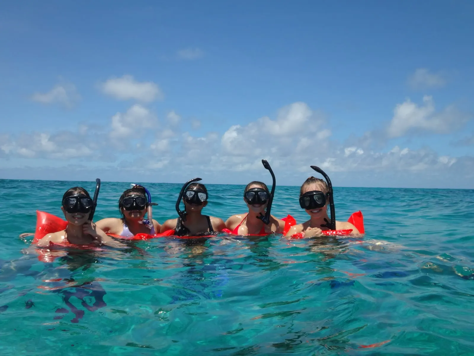 Student group snorkeling together off the coast of Belize