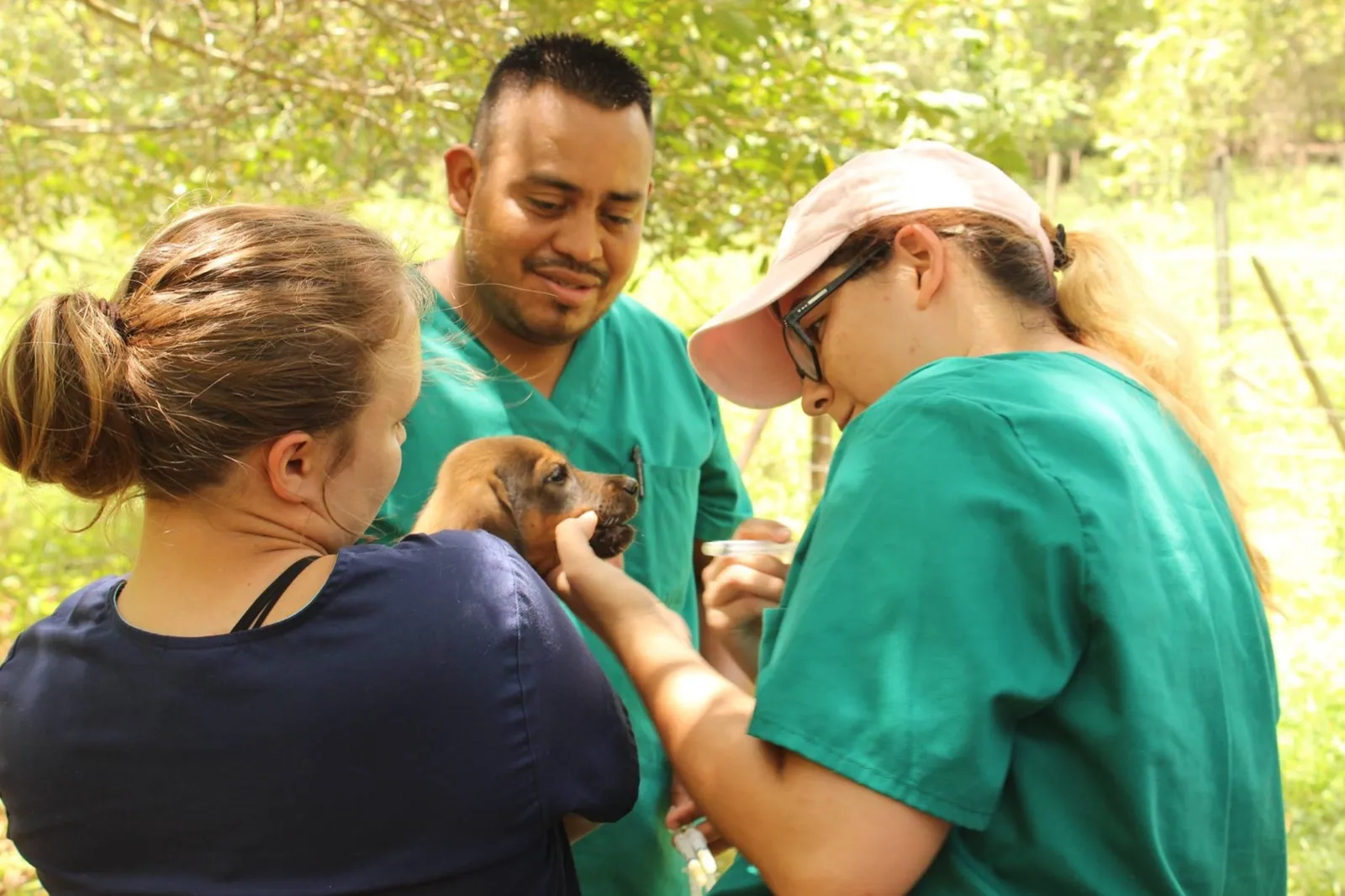 Belizean veterinary staff helping students give vitamins to a puppy